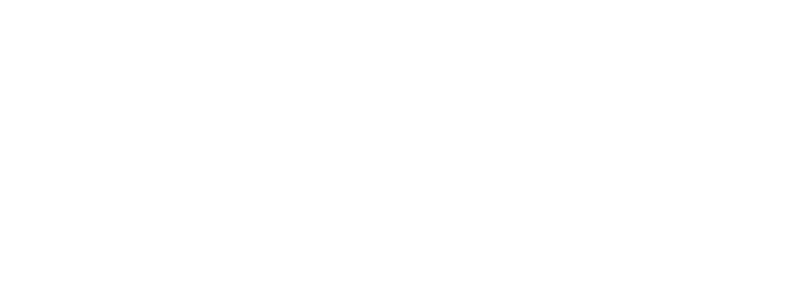 Baseball Monkey