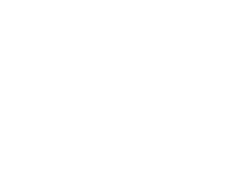 Bolland Branch