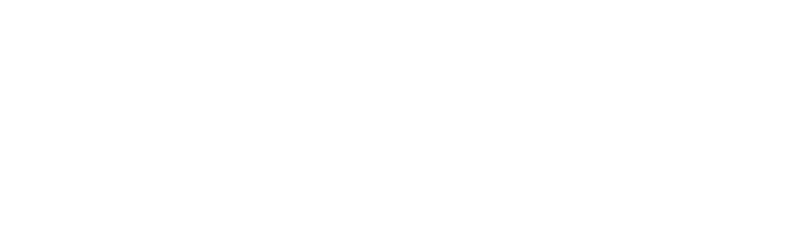Buffalo Jeans