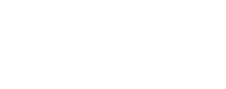Maidenform logo