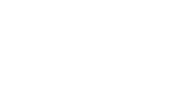 Mint Mobile