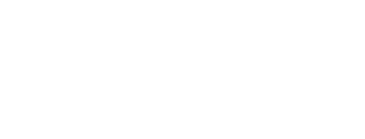 Nest New York